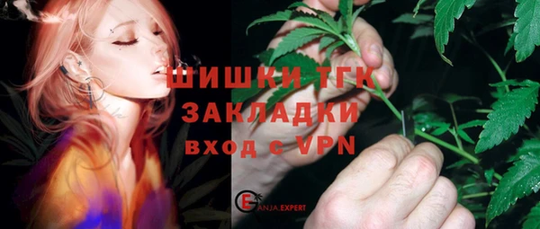 стаф Абинск