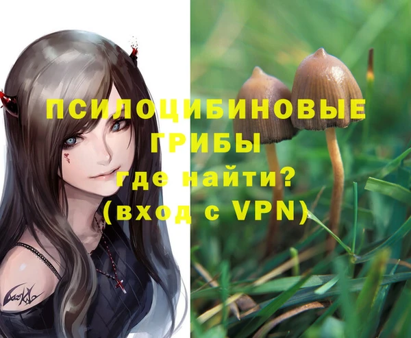 наркотики Абаза