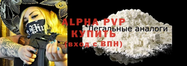 стаф Абинск