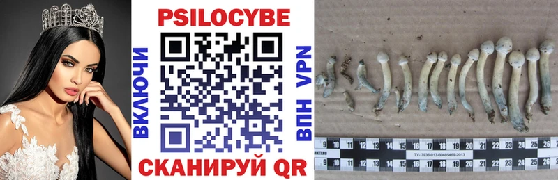 ОМГ ОМГ зеркало  Тотьма  Галлюциногенные грибы Psilocybe  хочу наркоту 