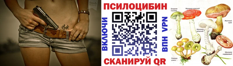 Псилоцибиновые грибы Magic Shrooms Тотьма